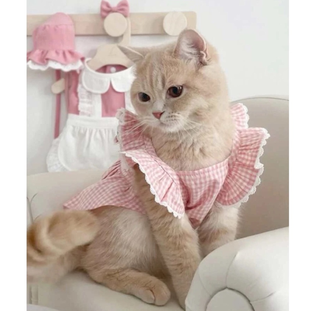 Plaid Print Pet Dress 🐈